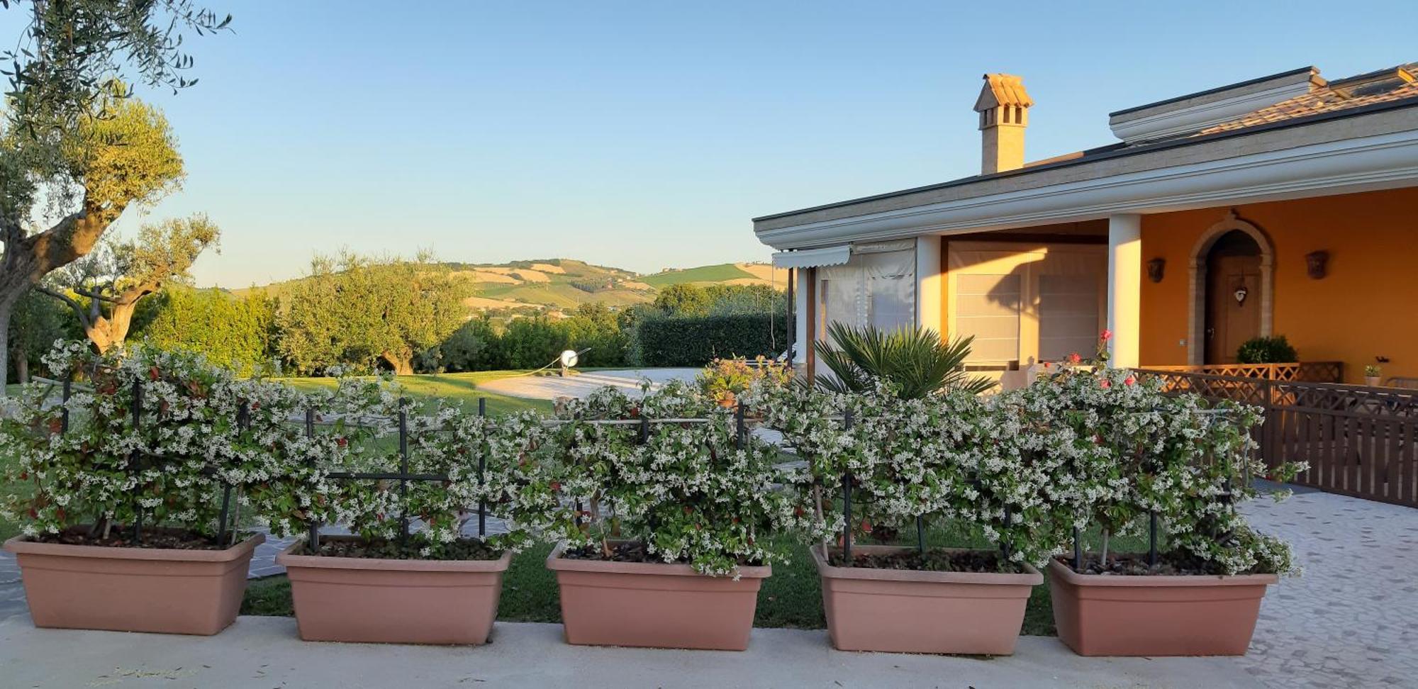 B&B Agrifoglio SantʼElpidio a Mare Extérieur photo